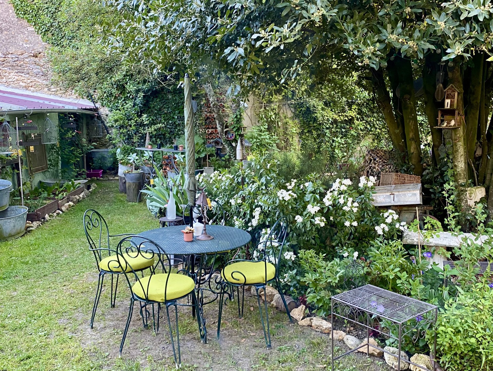 IMG_4500-475f15b2ee05b6d0782d68a0337fb5e8