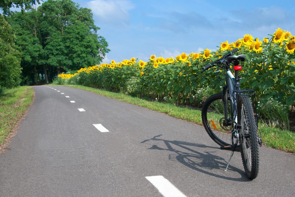 Ruta de las Flores