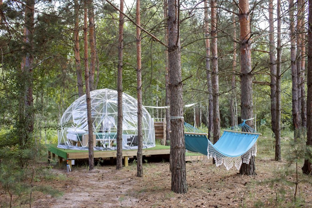 Dormir dans une cabane