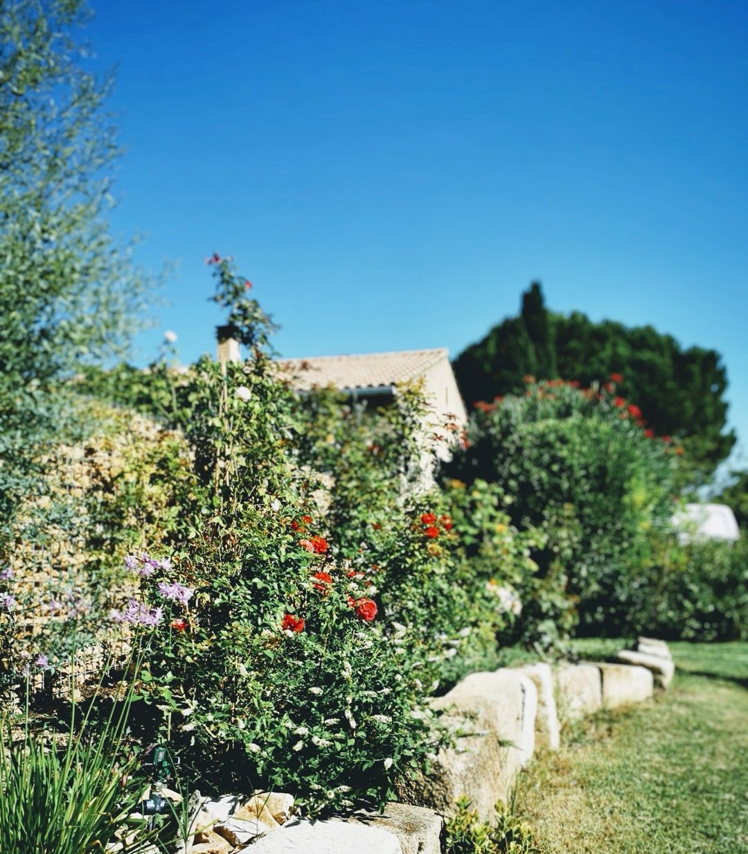 Screenshot_20250908_154726_com.android.gallery3d_edit_3679629558310400