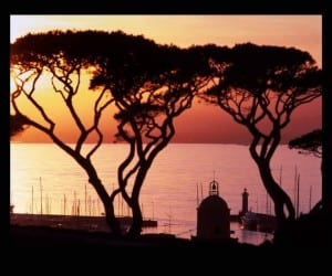 Guide gay de Saint-Tropez