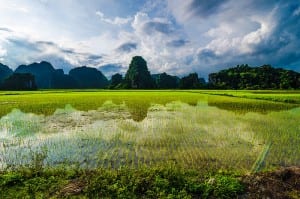 Ninh Binh : la Baie d'Halong terrestre au Vietnam