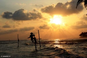 Les hommes pêcheurs de Koggala