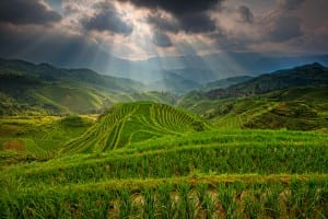 Les rizières de Longji