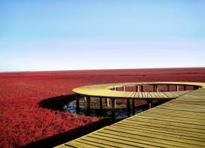Panjin en Chine