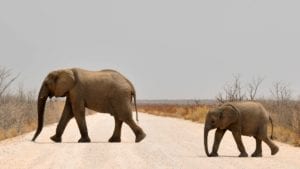 Guide gay de Namibie