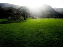 5 raisons de visiter l'Irlande cet été