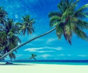 Guide gay de Tokelau