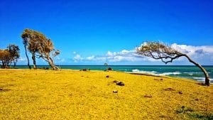 Destination gay de Guadeloupe