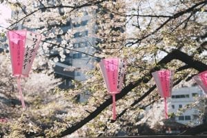 Quand partir au Japon