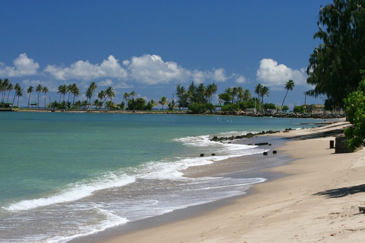 Visite de Vieques