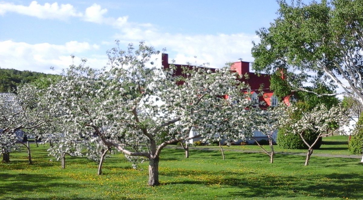 Sainte-Famille à l'île d'Orléans