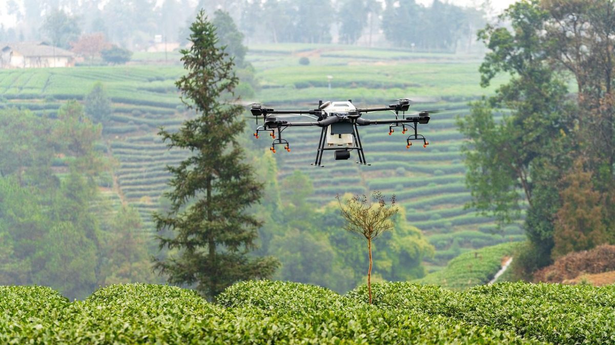 Les 18 pays où les drones sont interdits
