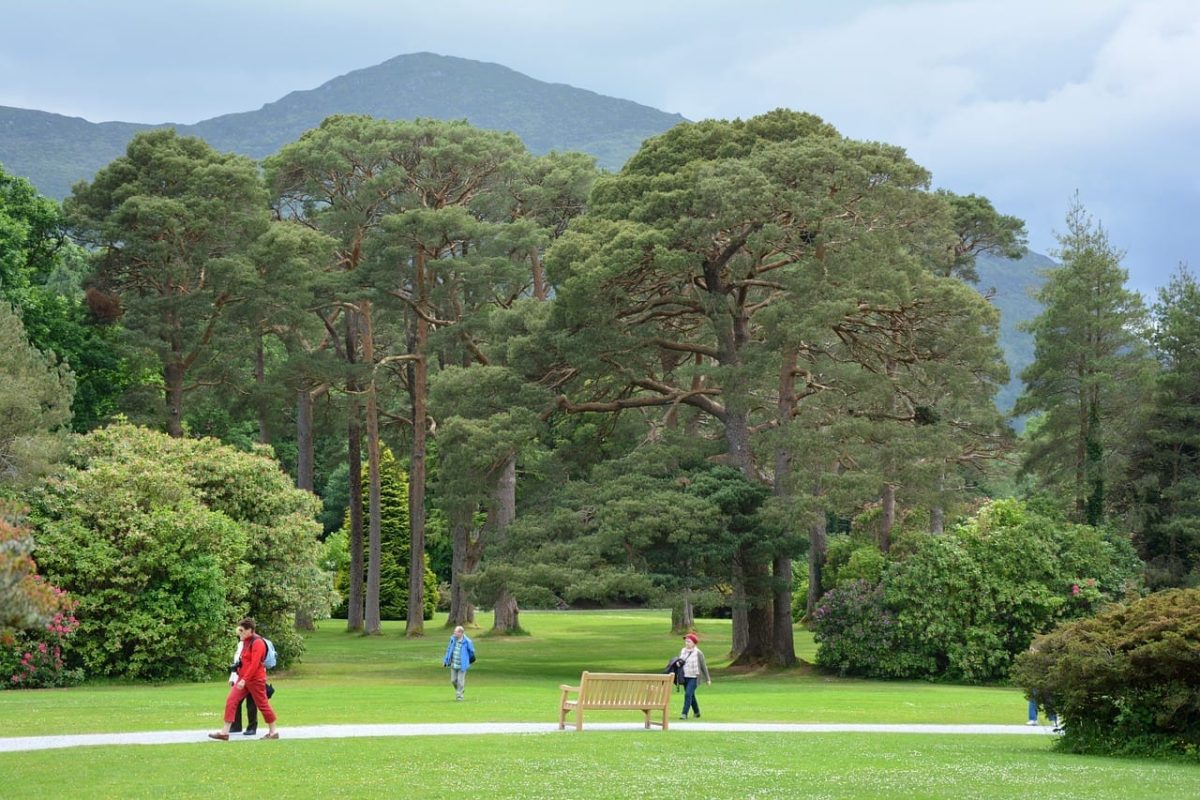 À quoi s'attendre d'une visite à Killarney