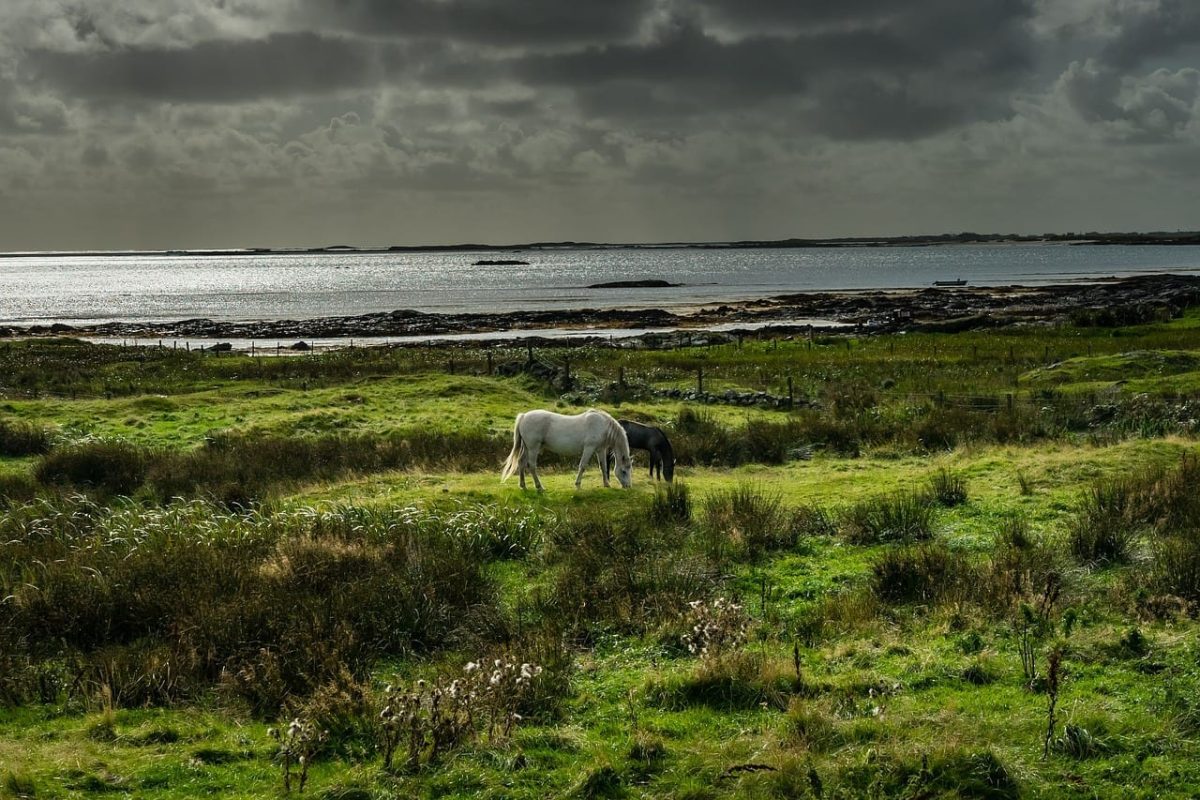 Parc national de Connemara