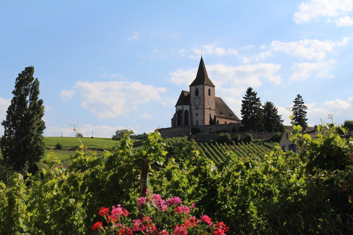 Destination gay de Bergheim