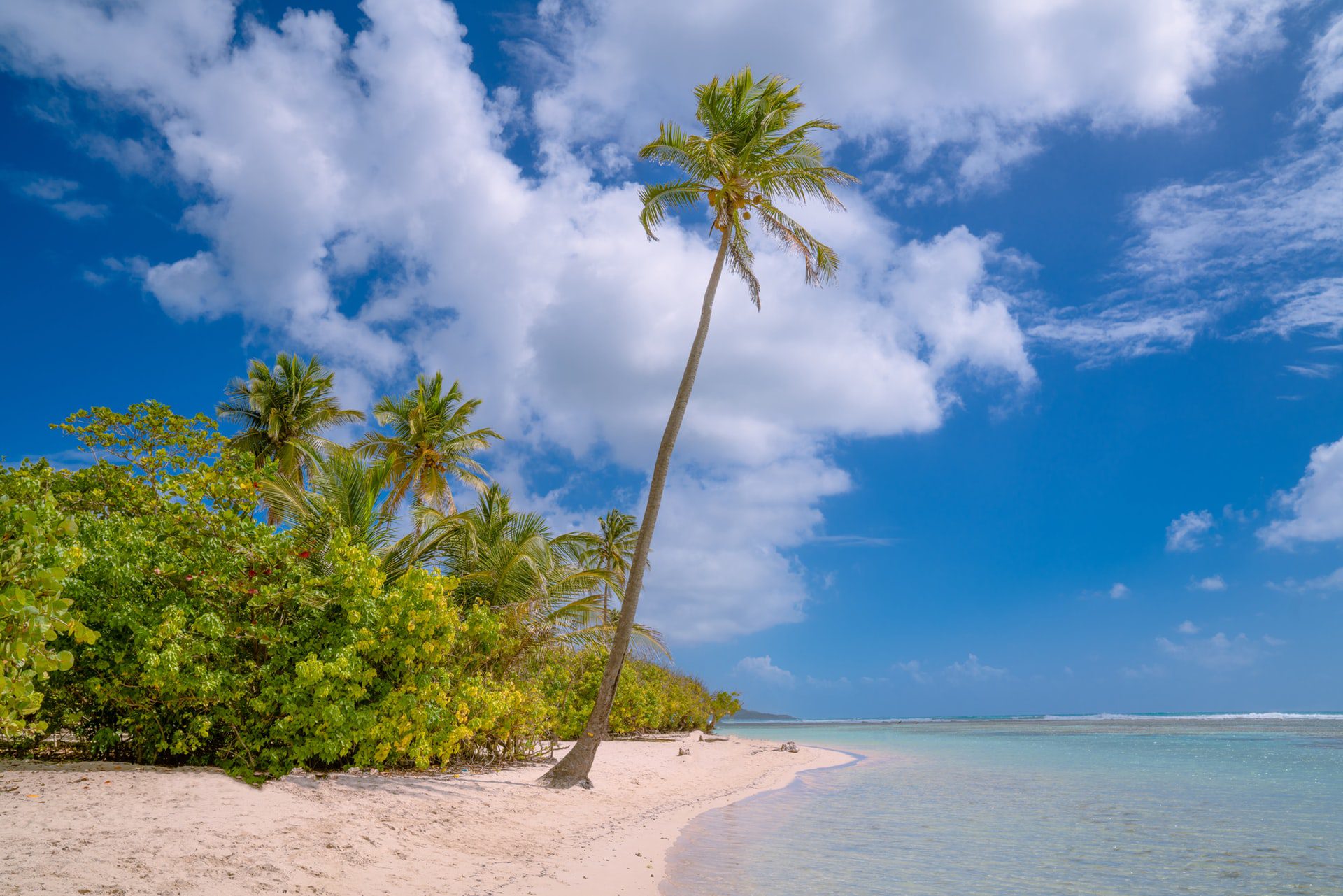 Les plus belles plages de la Guadeloupe