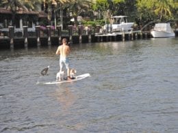 La scène gay de Fort Lauderdale