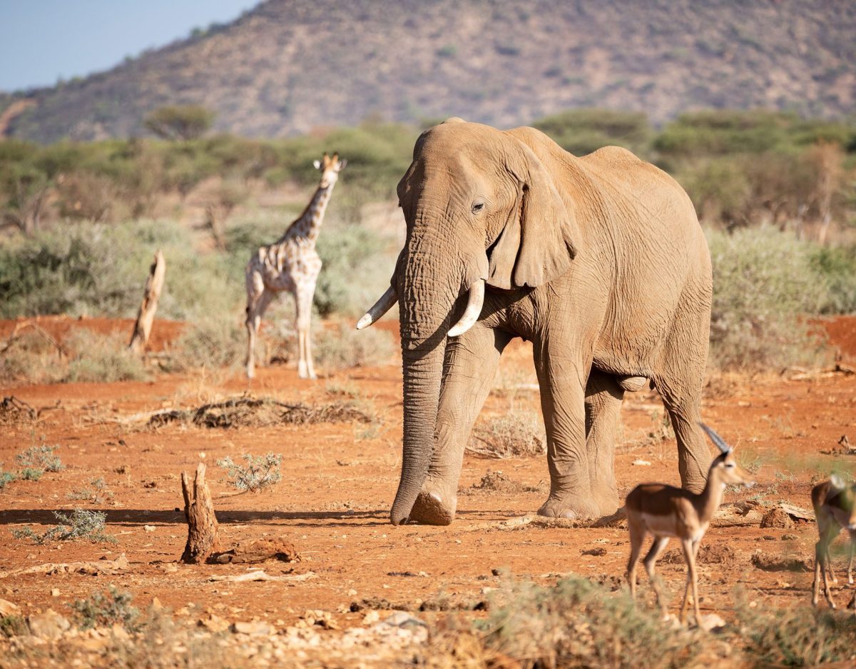 Guide gay de Namibie