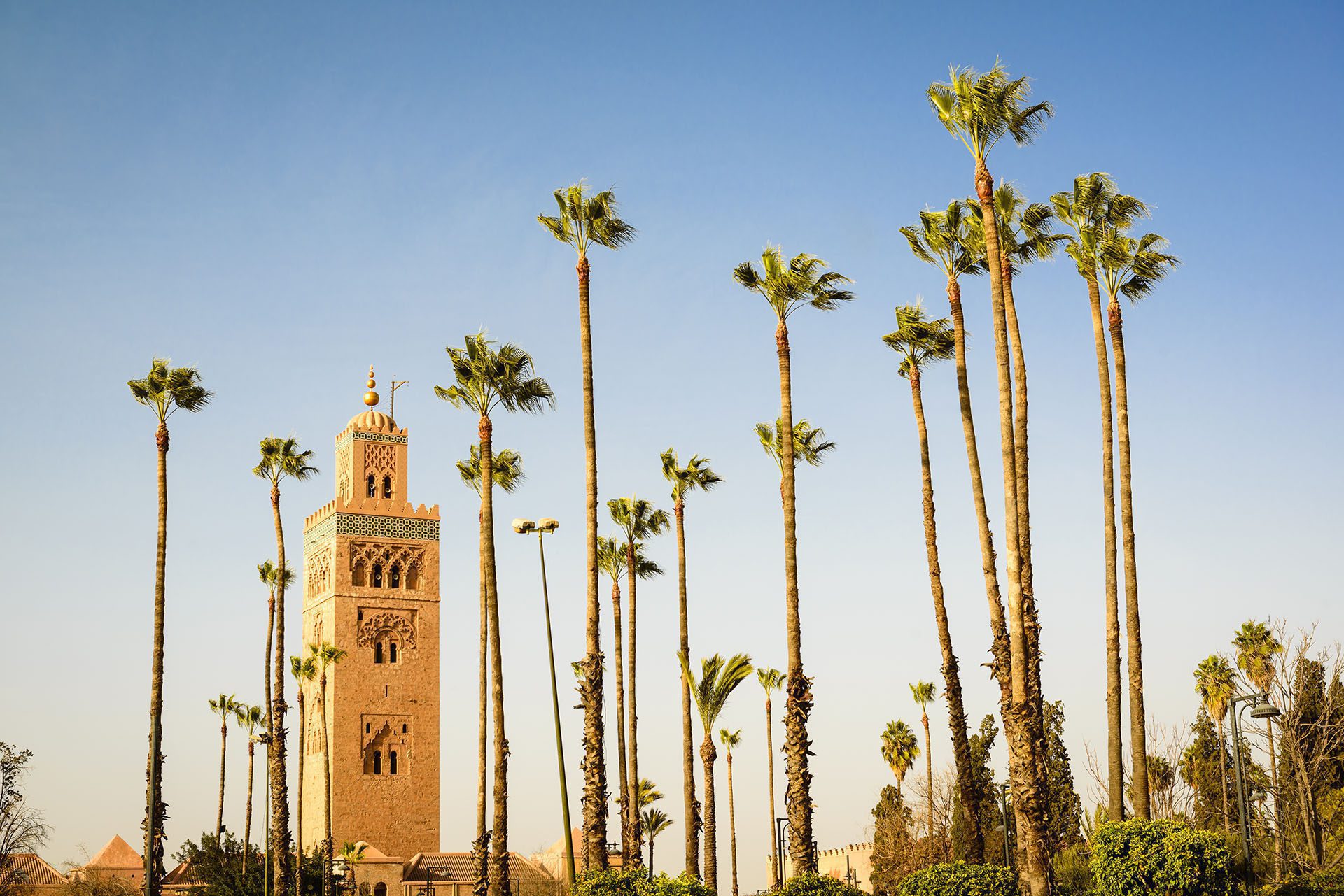 Vacance gay de Marrakech