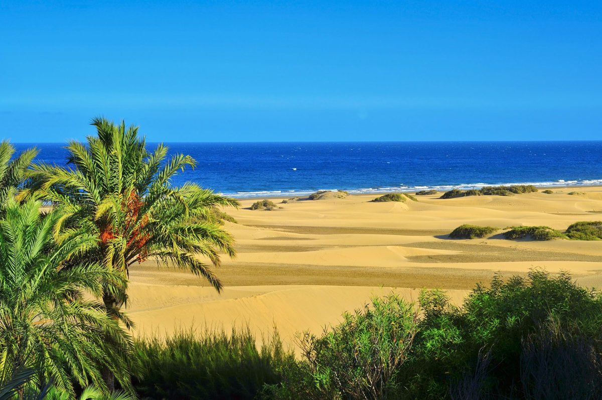 Guide Gay De Maspalomas Et Destination Gay Des Canaries