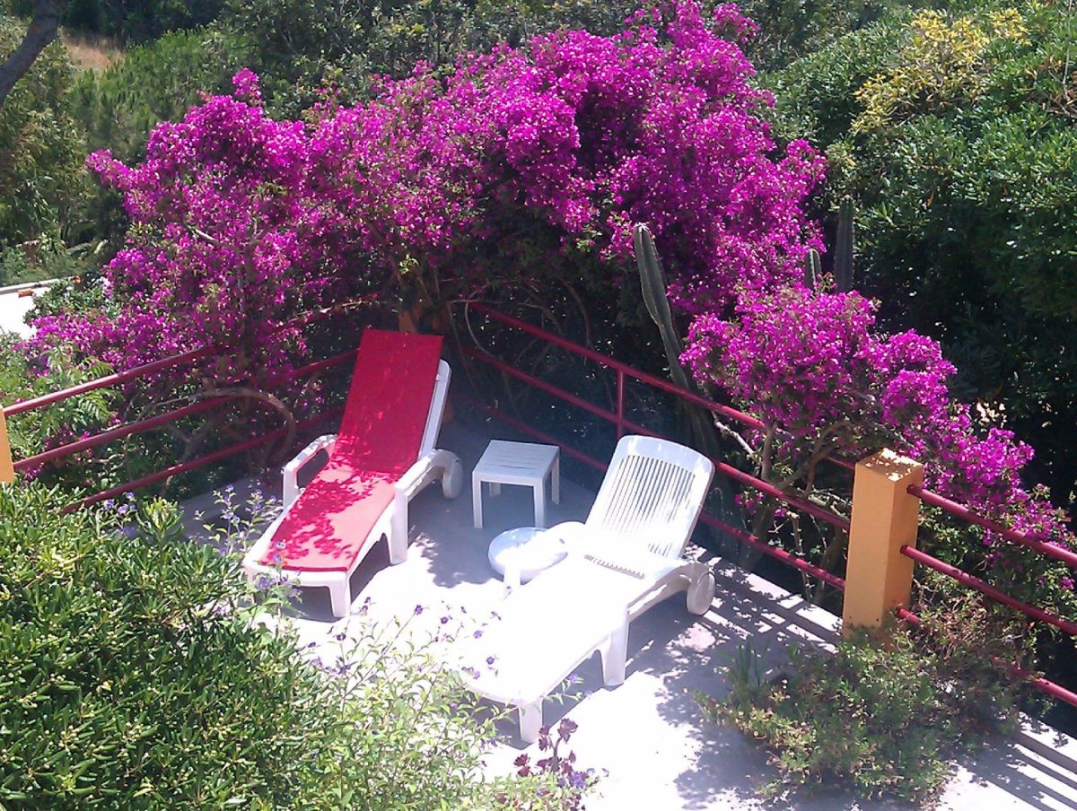 Chambre d'hôtes gay à l'île du Levant