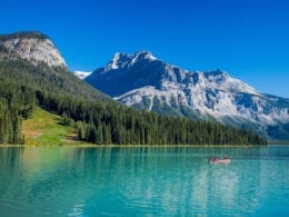 Île de Vancouver : brouillard, montagne, baleines et aventures