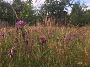 Chambre d'hôtes gay à Gérardmer
