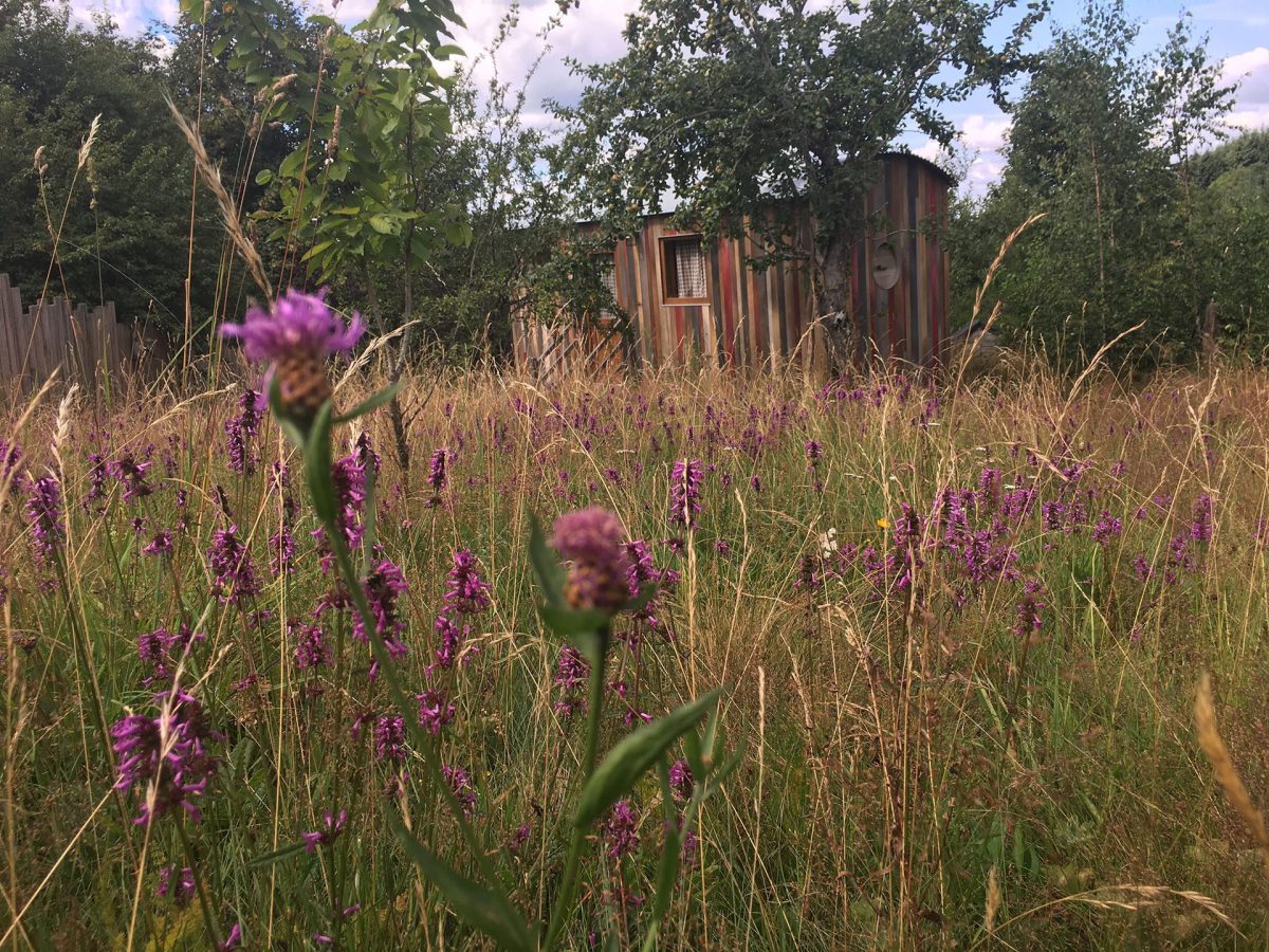 Chambre d'hôtes gay à Gérardmer