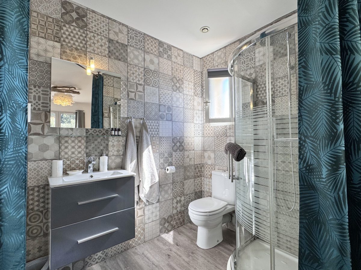 salle d’eau cathy 1