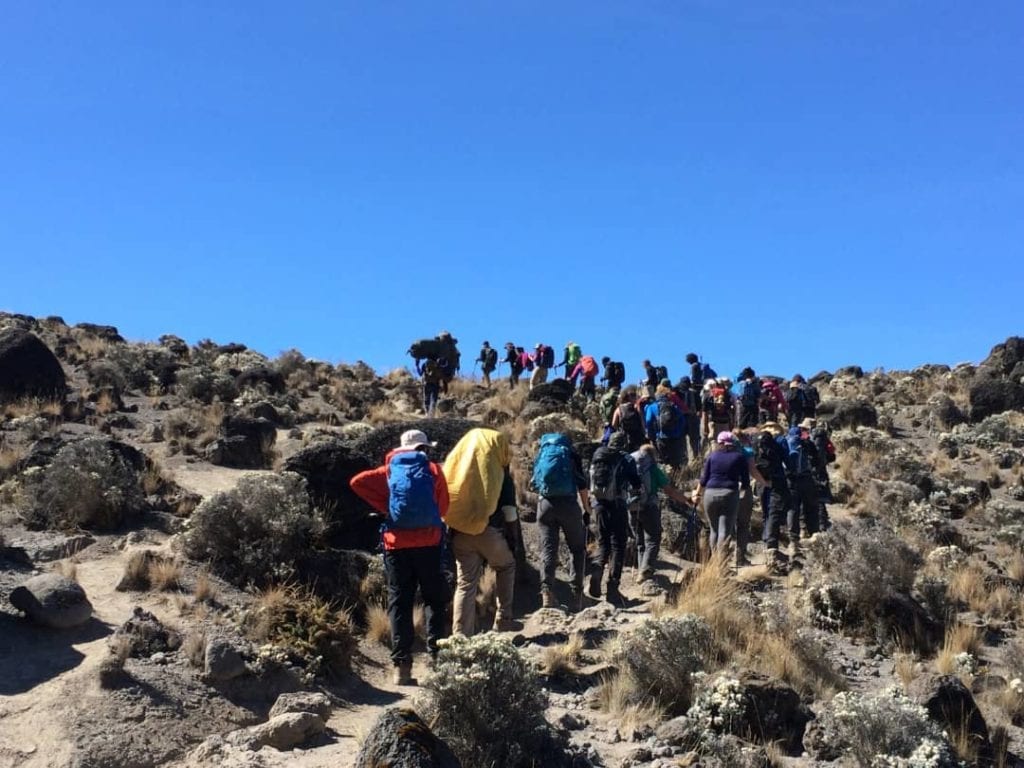 Excursion gay du Kilimandjaro
