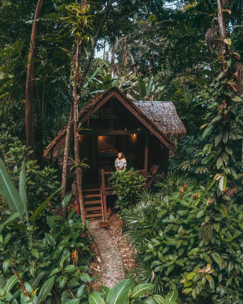 Our Jungle House Khao Sok (1)
