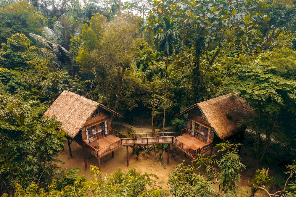 Our Jungle House Khao Sok (6)