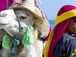 Un voyage gay friendly en Tunisie ... ou presque!