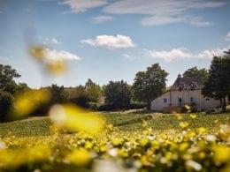 Chambre d'hôtes gay à Mercurey