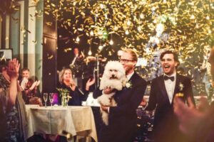 Faites un mariage gay en Islande avec Pink Iceland