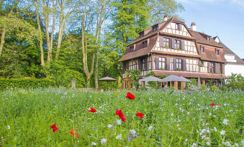 Chambre d'hôtes gay à Strasbourg