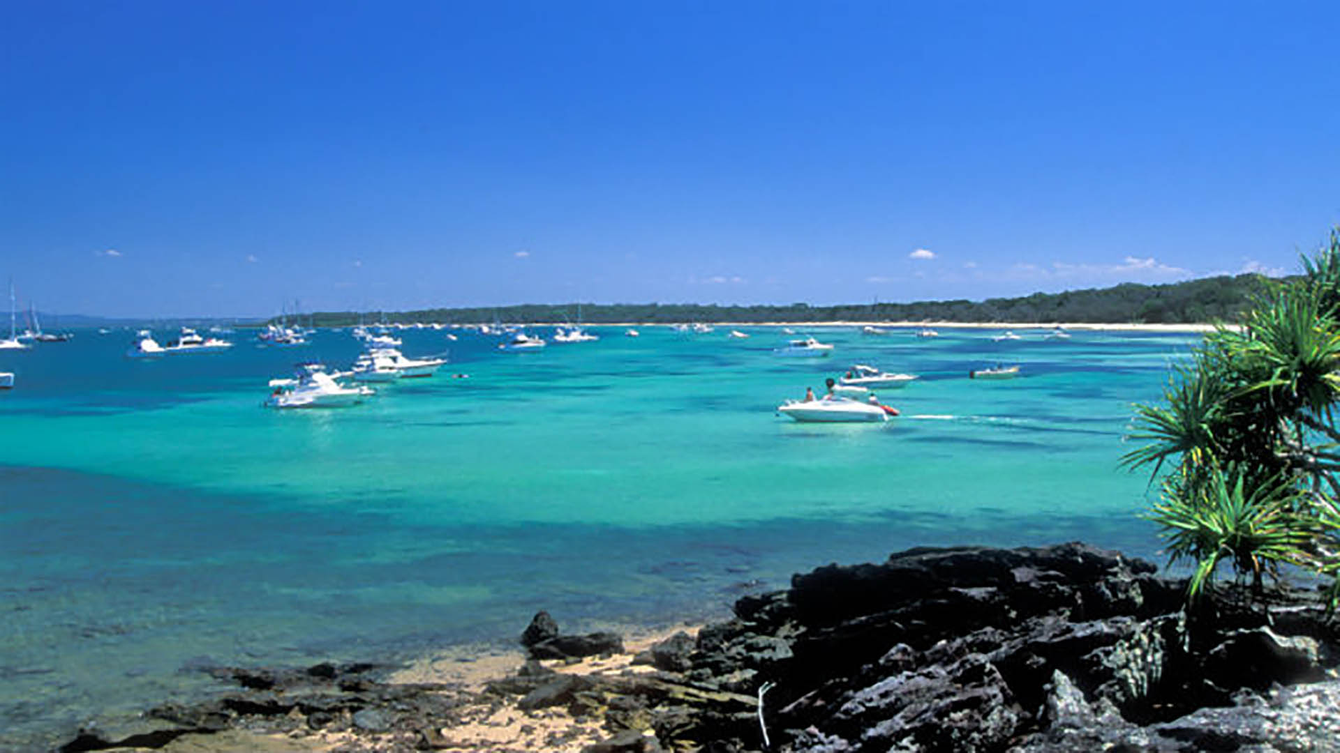 Journée en bateau sur Peel Island