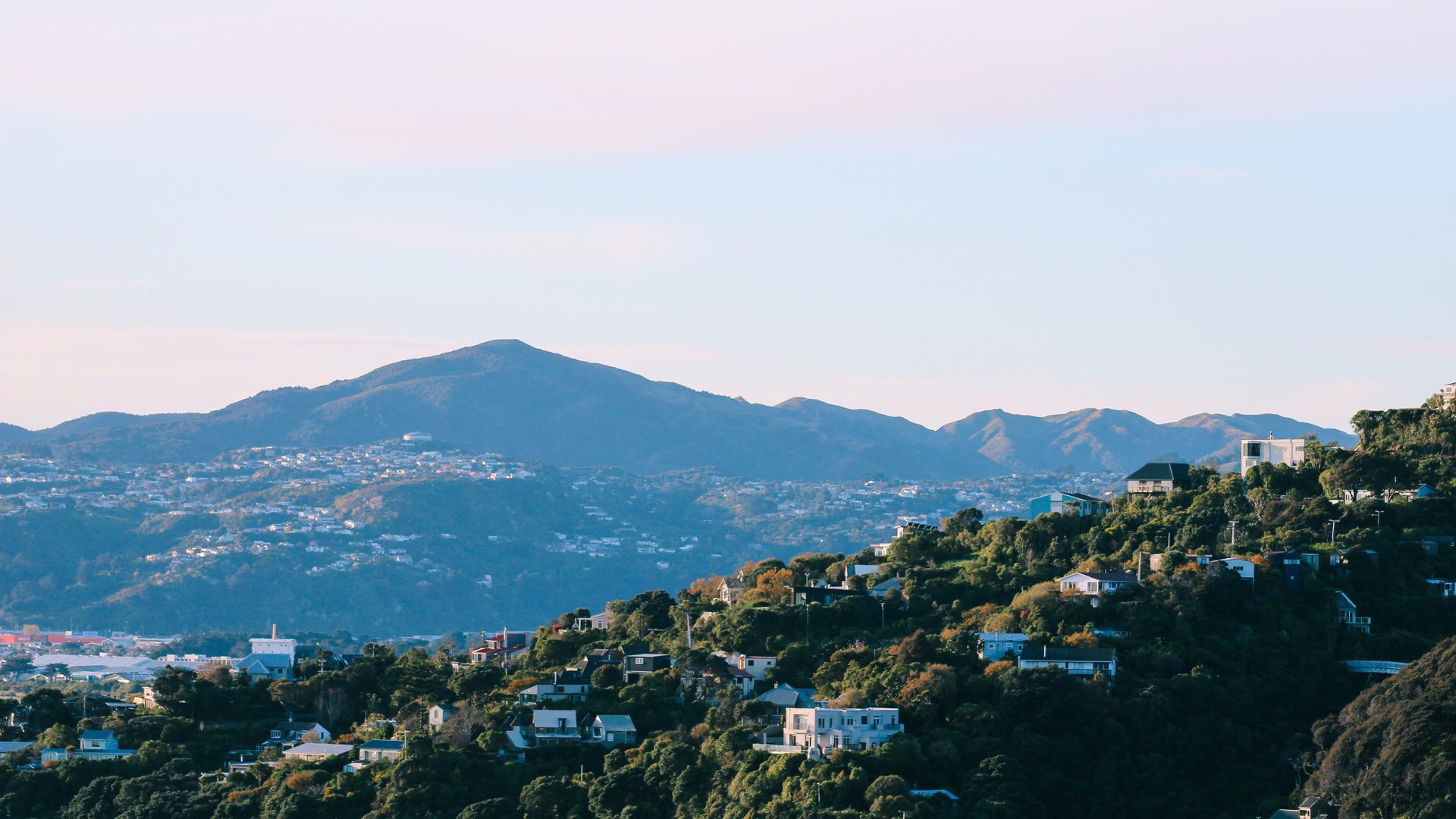 Tourisme à Wellington