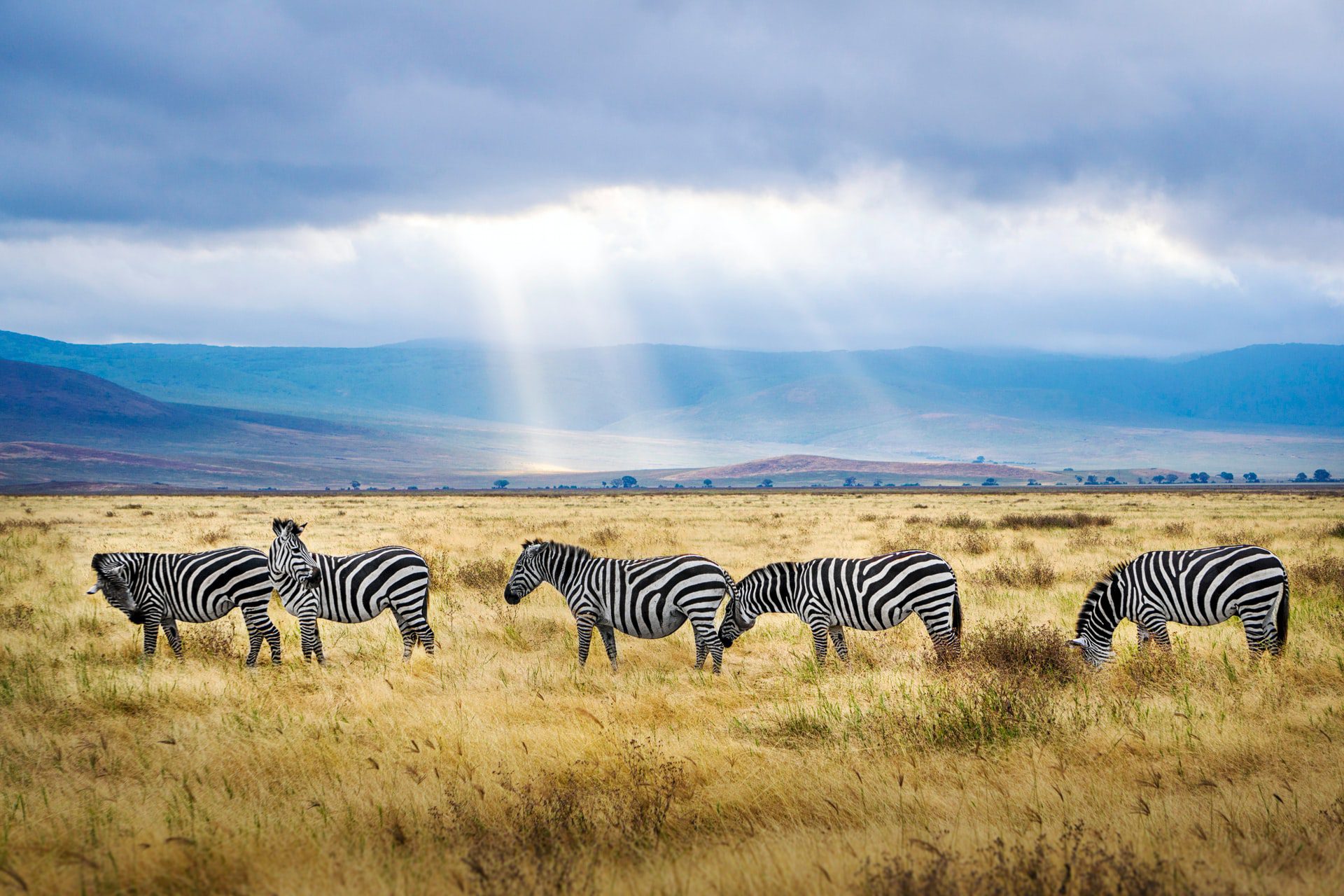 Une visite touristique de la Tanzanie