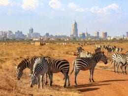 Votre premier voyage à Nairobi : ce que vous devez savoir