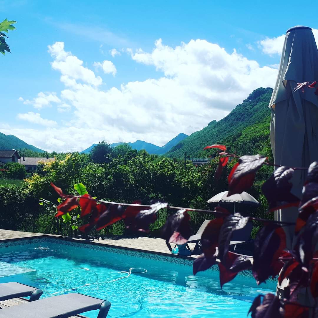 4CC2D536-B812-457A-941D-CF46BF9E882F