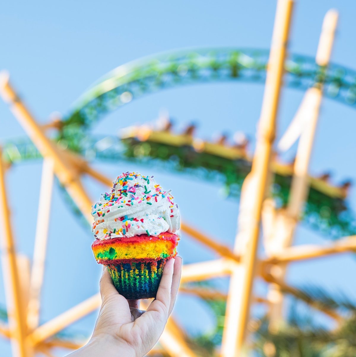 À savoir sur le parc Busch Gardens