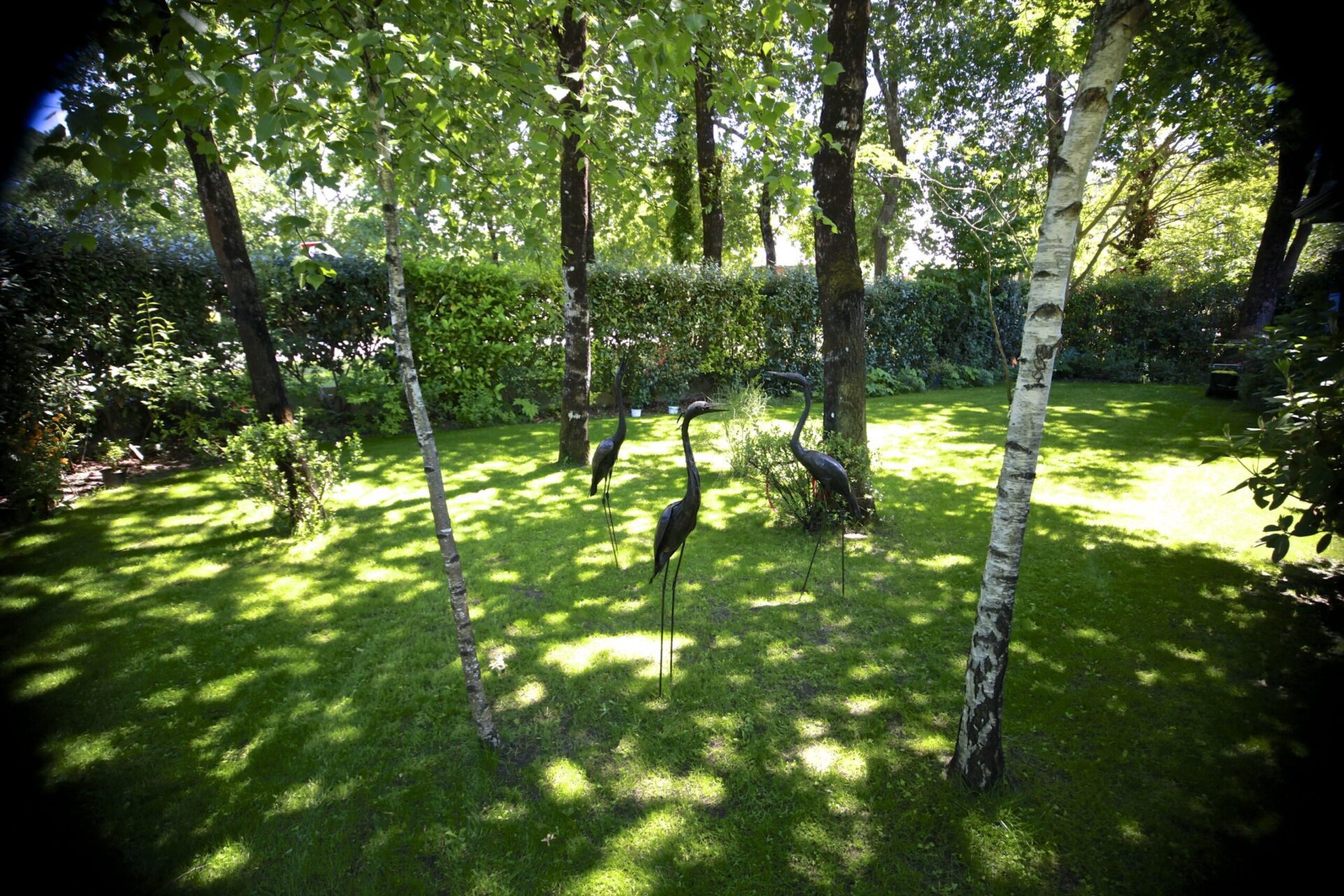 ECRIN DE VERDURE