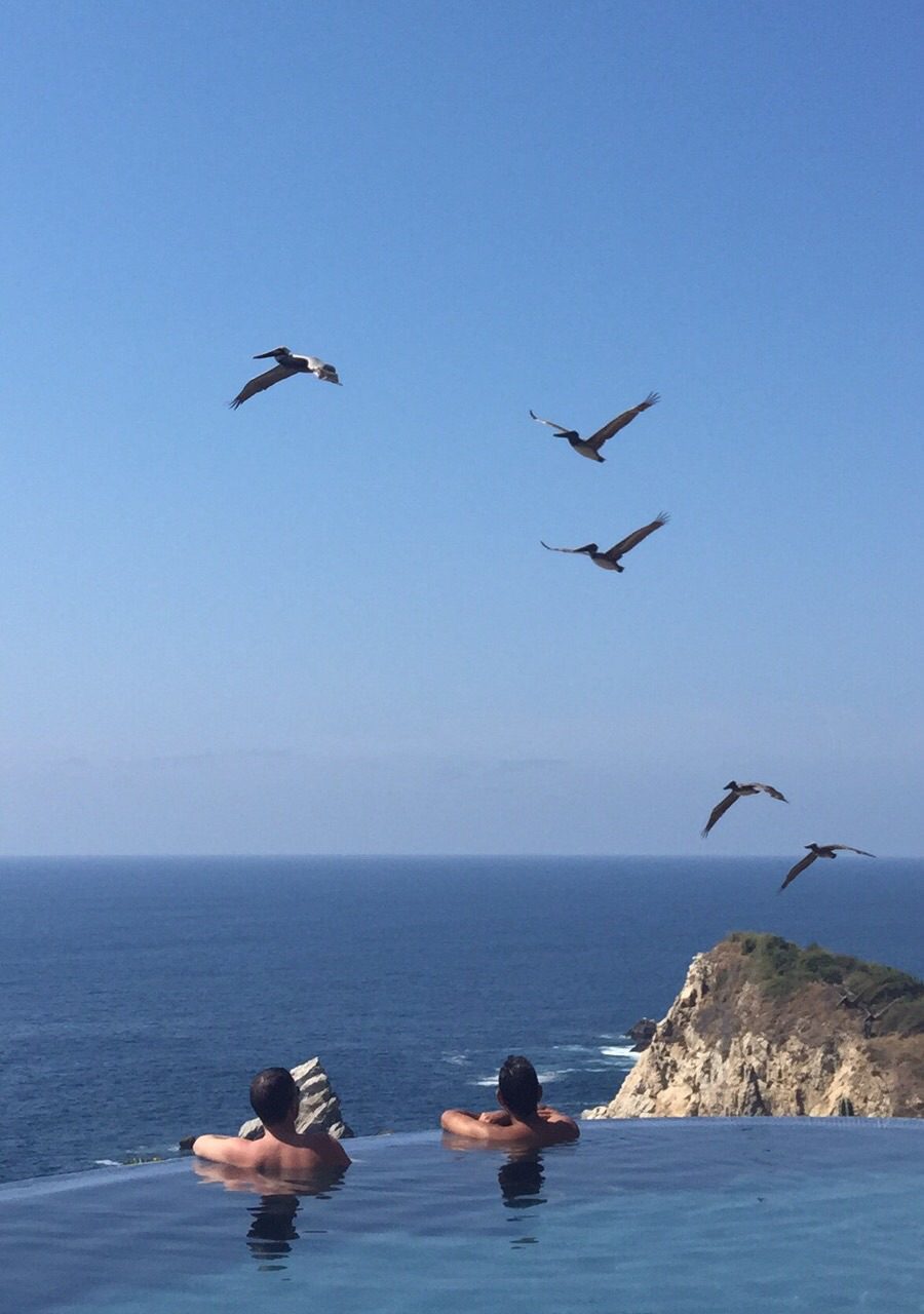 PARAISO DE LOS ANGELES est une petite propriété exclusive au sud de la côte pacifique mexicaine, dans l’état de Oaxaca. il se trouve entre le village de pêche