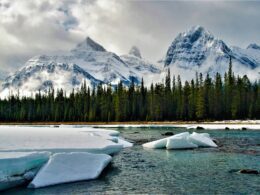 Une promenade d’une journée sur les glaciers