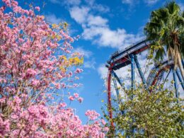 Une visite du parc d'attractions de Busch Gardens à Tampa