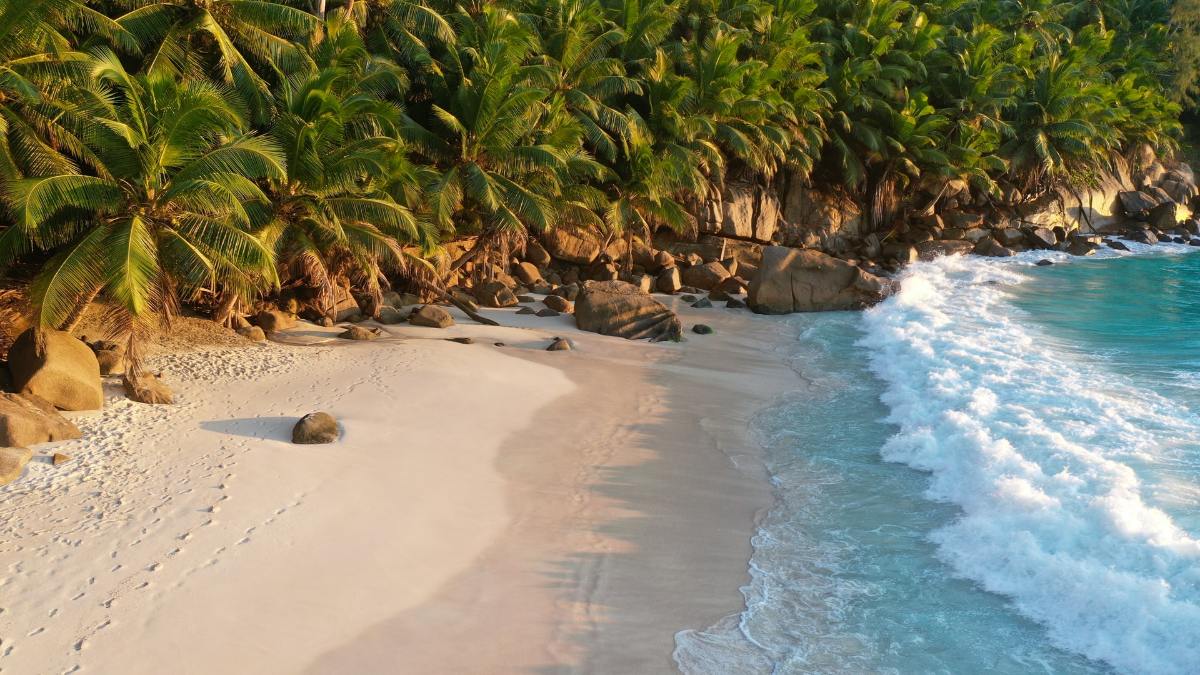 Découvrir les Seychelles à bord d'une croisière
