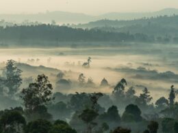 Partir à la découverte du Cameroun