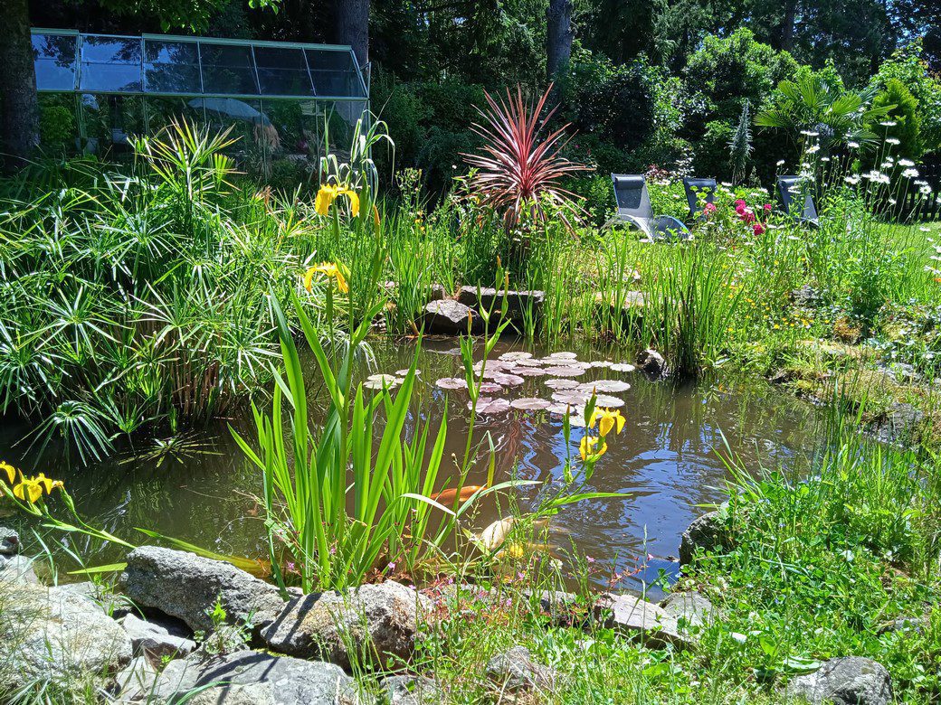 IMG_20210601_124955 (Copier)